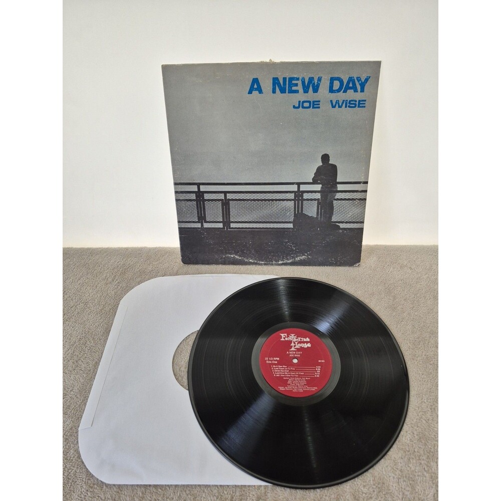 Joe Wise A New Day Vinyl LP 1970 Fontaine House Record 0918